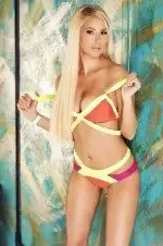 Five Star Hotel Call Girl